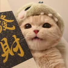 Người dùng Anh Quân